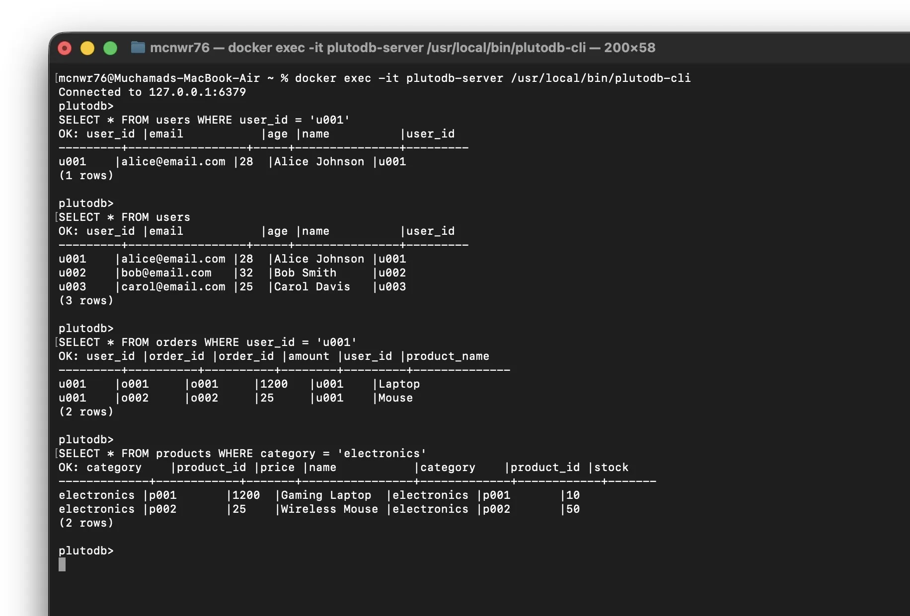 PlutoDB screenshot 3